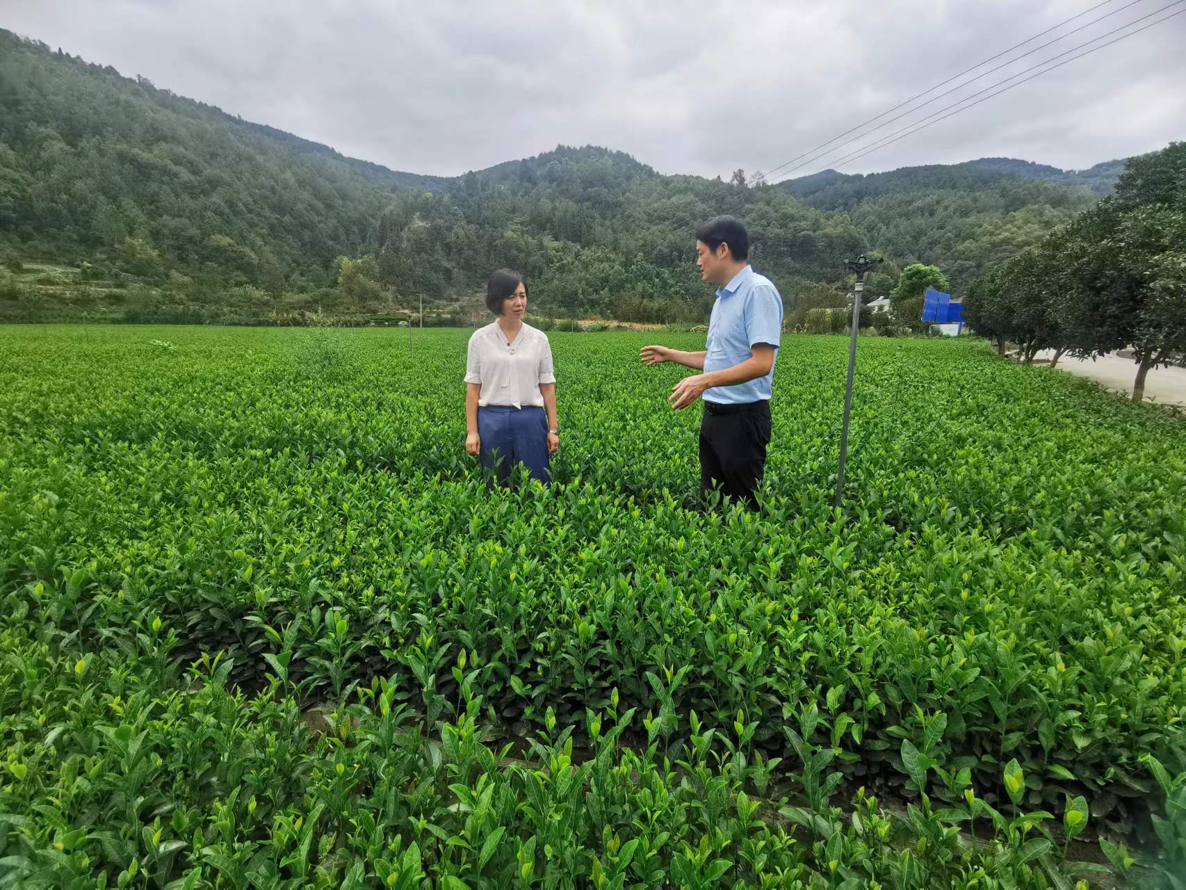 汉滨区人民政府>新闻中心>最新消息>陈康玲要求,要坚持党建引领,以"