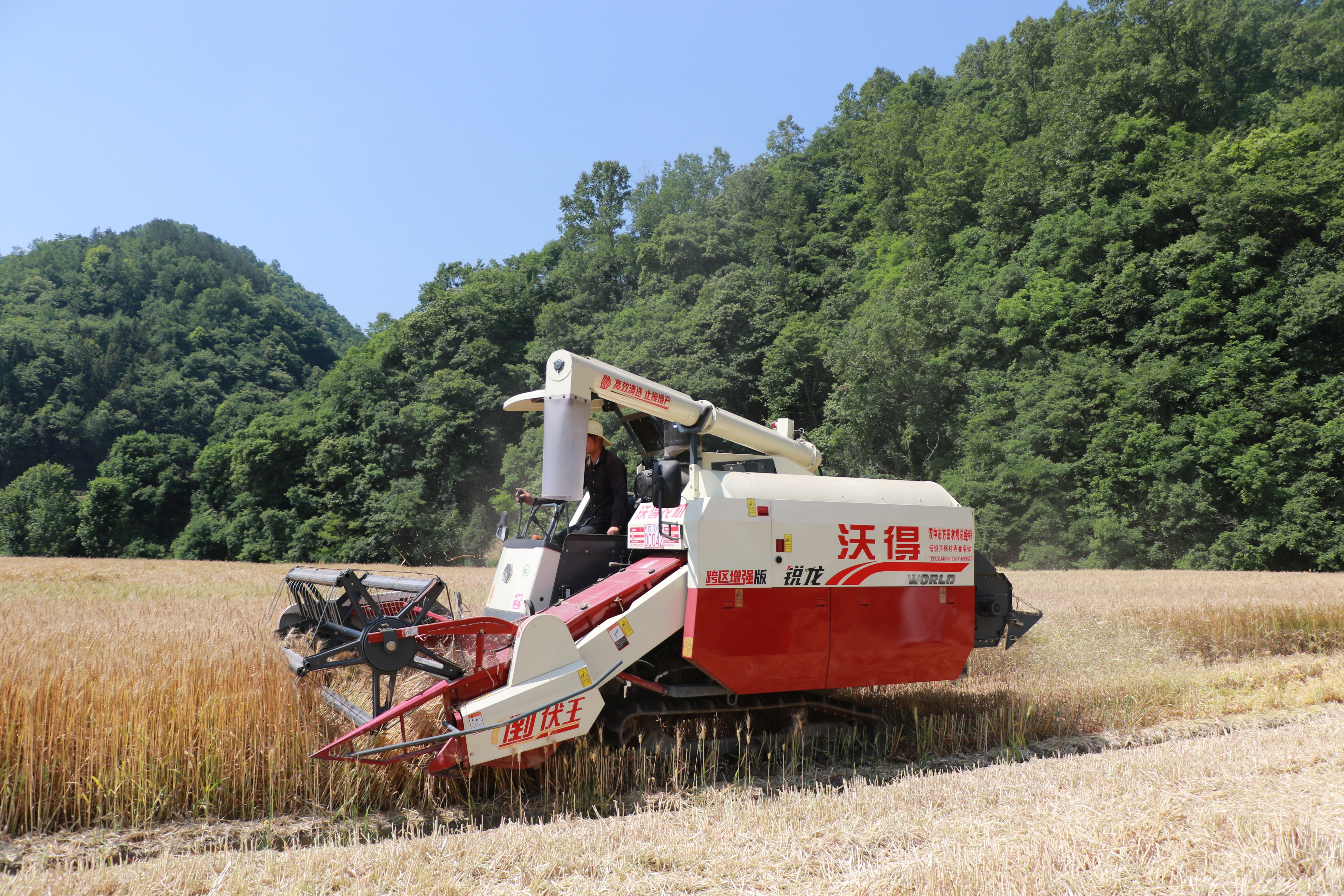 今年"大忙"时节,种粮农户刘纪琴第一次请来机器收割,她就体验到了前所